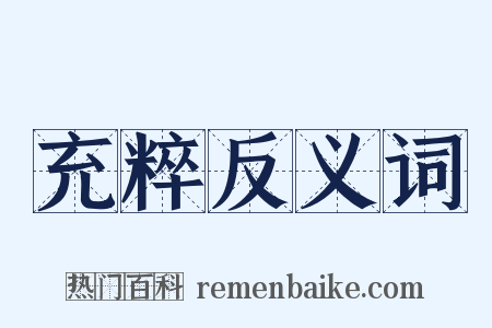 充粹反义词是什么意思的图片